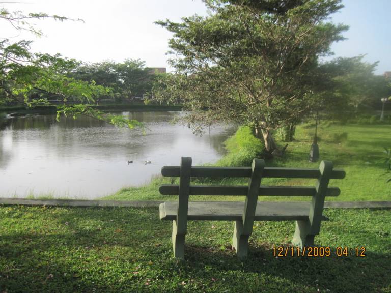foto8