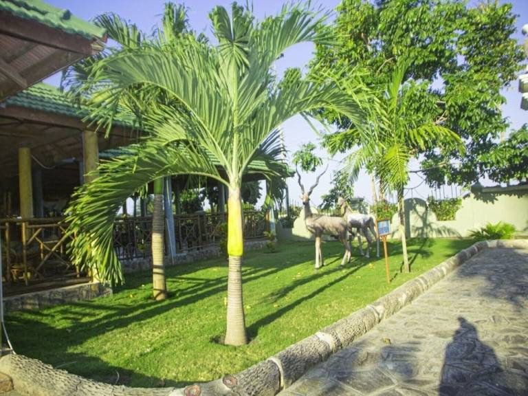 Casa Gerezani