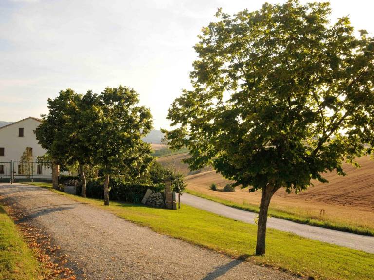 Resort Cingoli