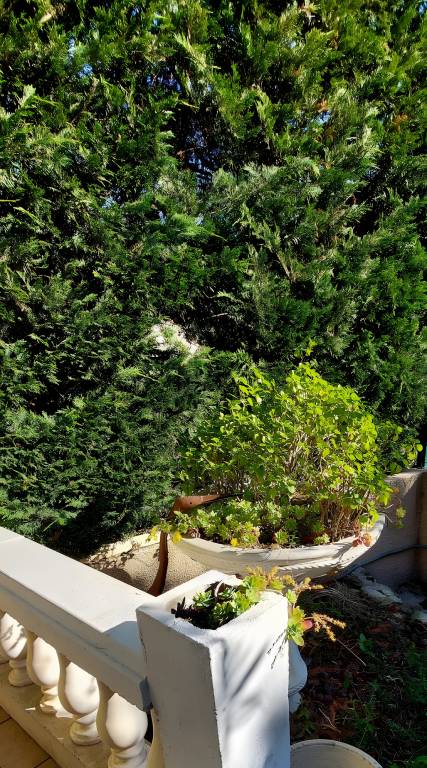 Charming Apartment with Panoramic Sea Views in Collioure — photo 2
