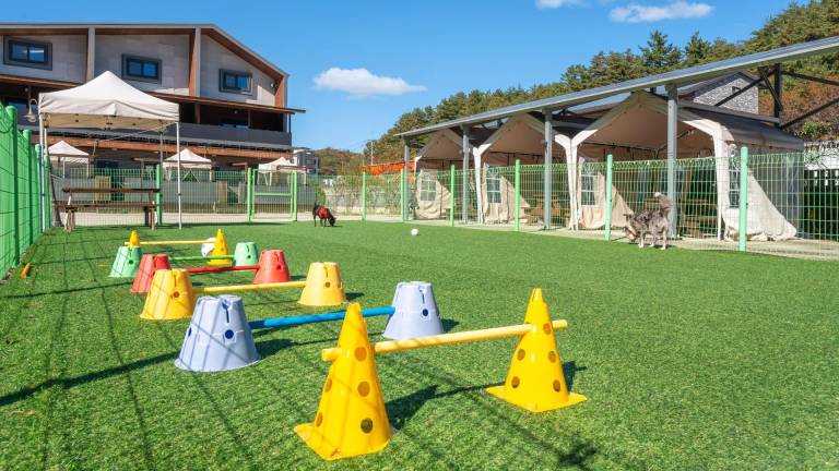 Gangneung NineOne Pet Pension — photo 5