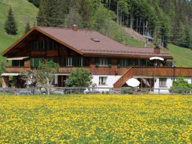 Ferienwohnung in Gstaad f&uuml;r max. 2 Personen