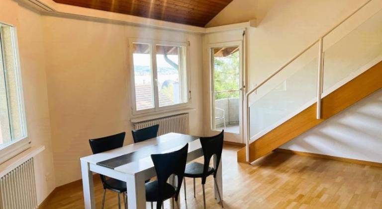 Large Flats, Zurich Lake HWA - Self Checkin — photo 4