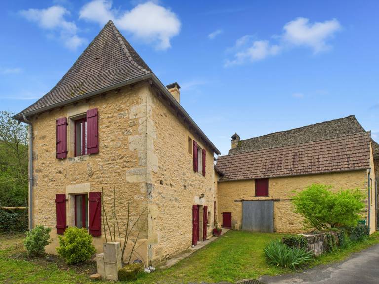 Maison de vacances Saint-Léon-sur-Vézère