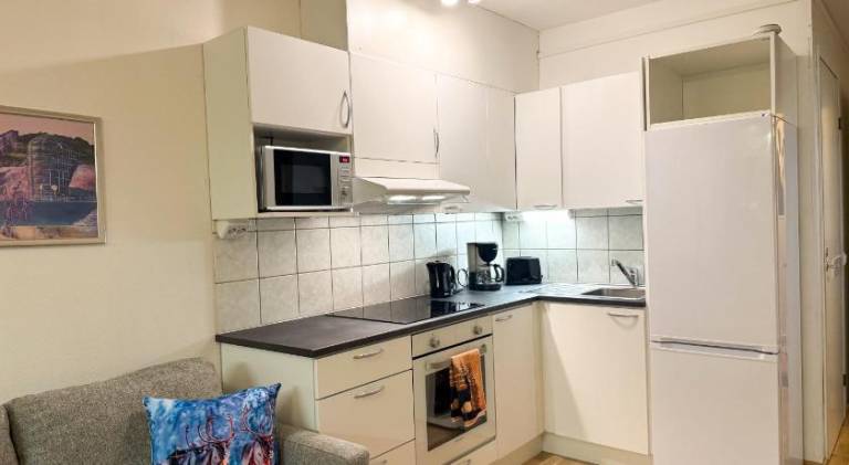 Apartment with 1 room for 3 persons — photo 3
