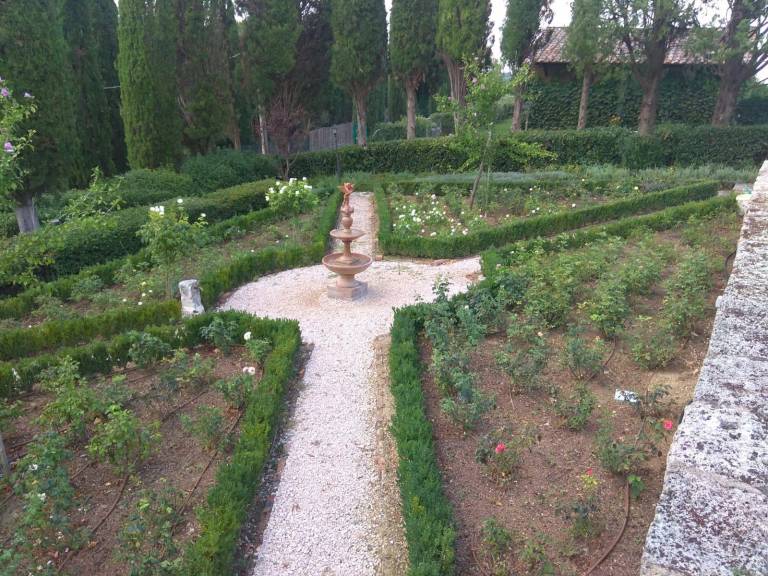 foto6