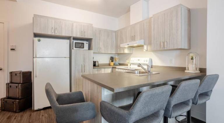 Large Suite in Downtown Montreal — photo 4