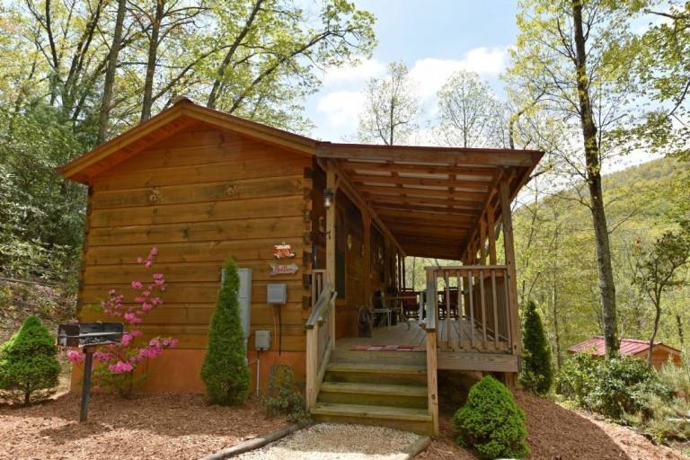 Cabin Asheville