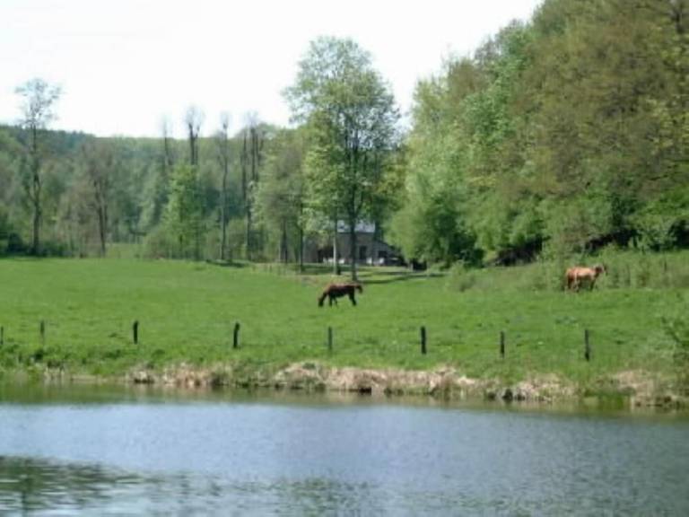 Cottage Bertogne