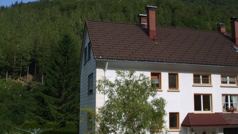 Ferienwohnung  Todtnauberg