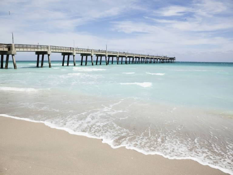 Apartment  Dania Beach