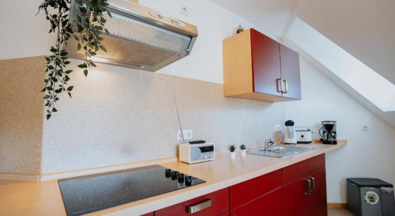 Holiday apartment | Pets are welcome — photo 3