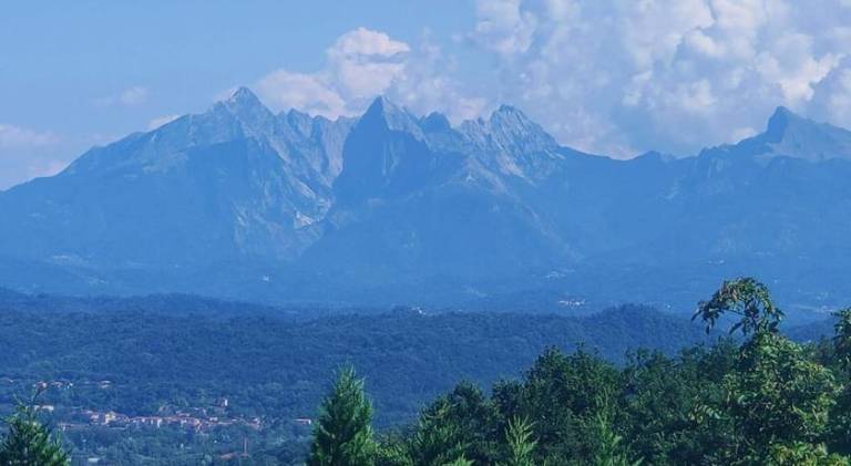 Nido di Luna