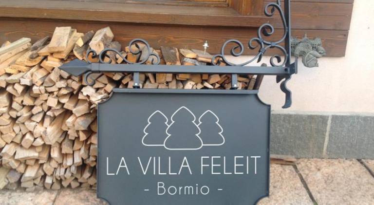 Beautiful apartment with yard & terrace | Pet-friendly in Bormio