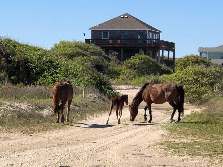 House Carova Beach