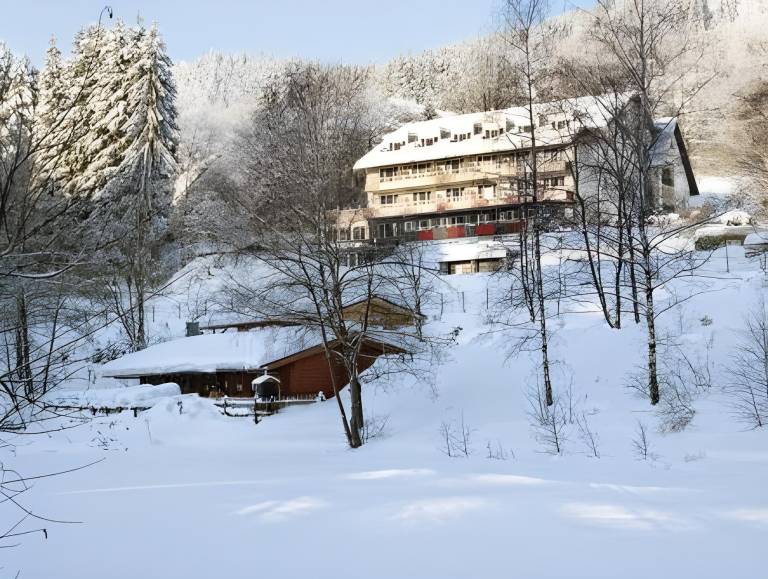 Waldhaus am See in Willingen