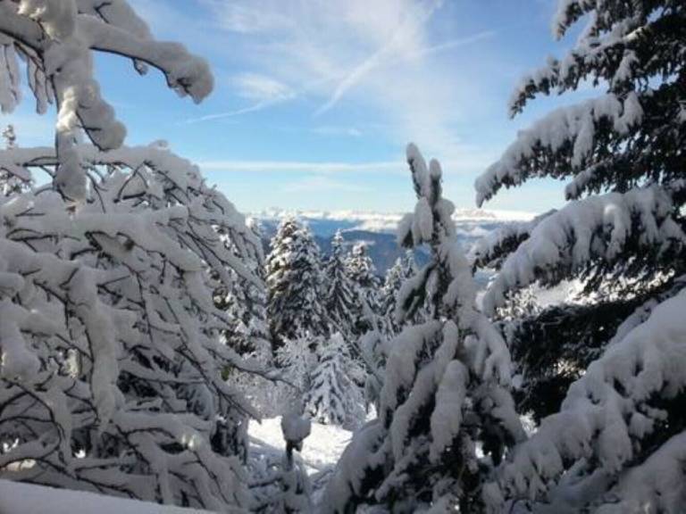 Chalet Chamrousse