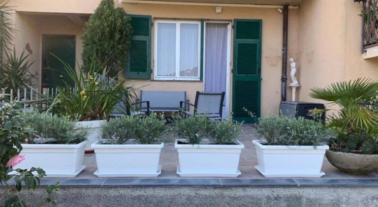 House | Pet-friendly — photo 4