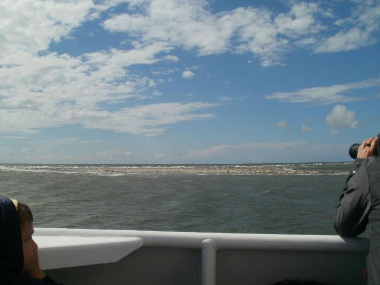 foto4