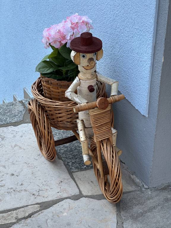 foto2