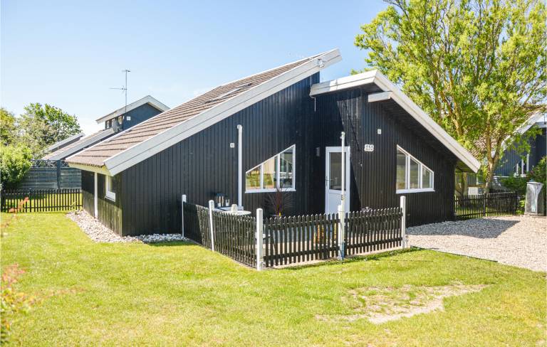 Ferienhaus Bork Havn