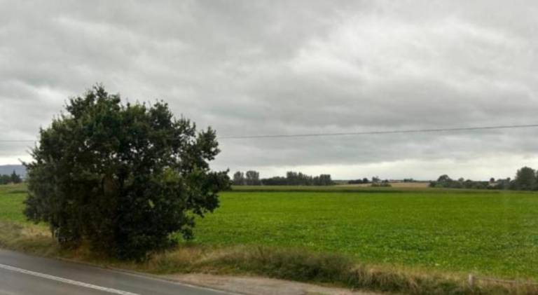 foto10