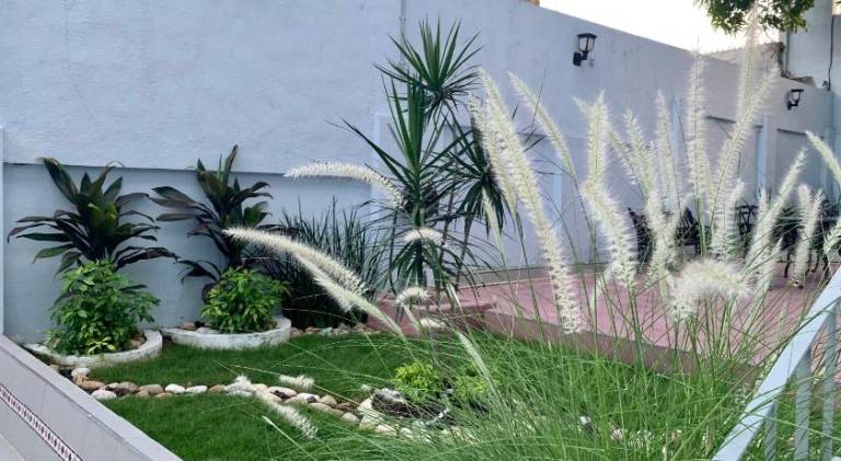 foto9
