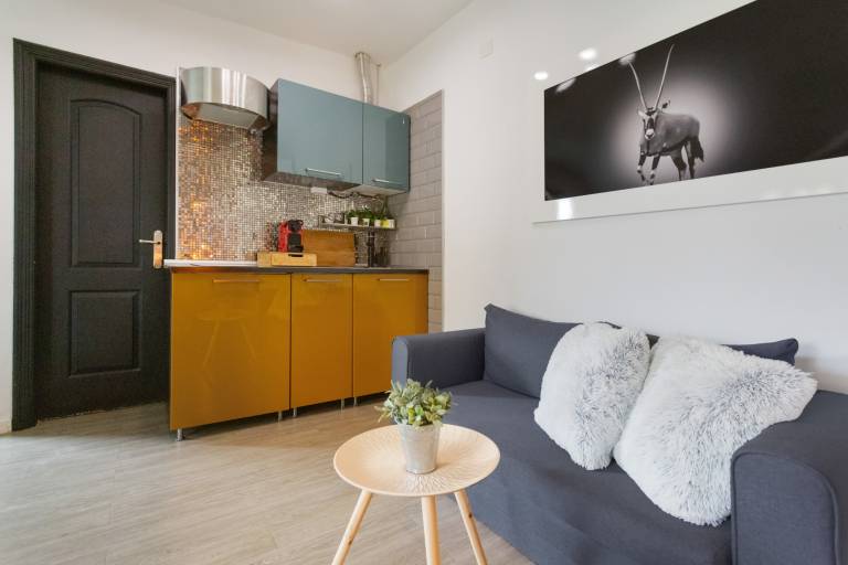 Vacation Apartment 'Estudio Universidad En La Laguna' with Terrace, Shared Garden and Wi-Fi — photo 4