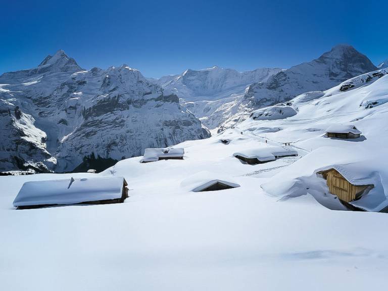 Ferienwohnung Grindelwald
