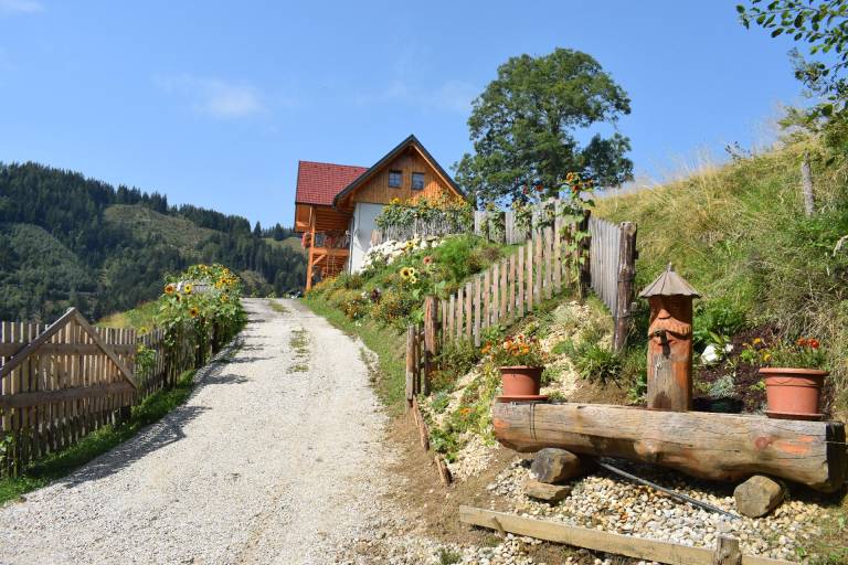 foto3