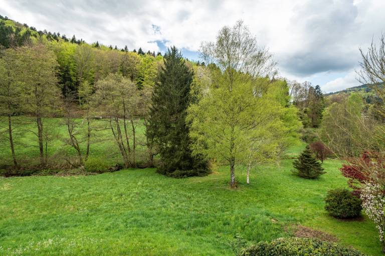 Studio with fast internet | River view | Perfect for remote work — photo 5