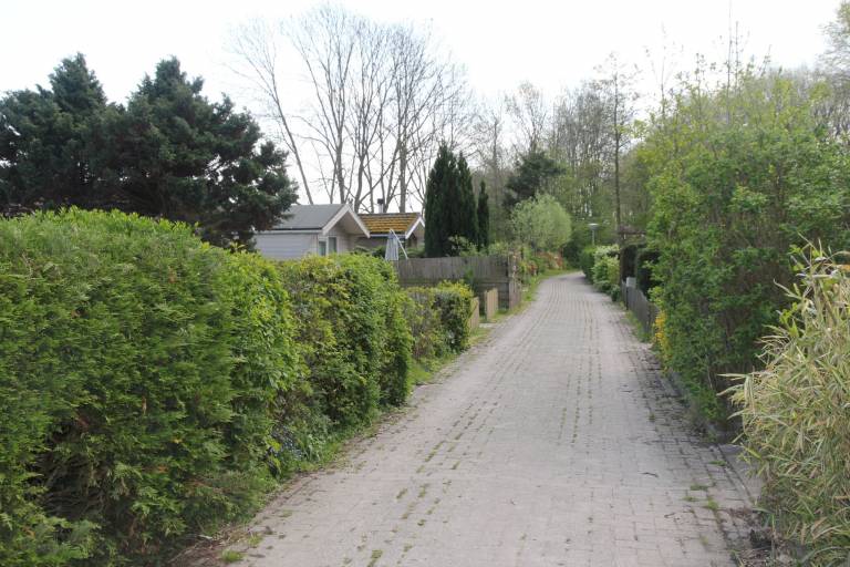 foto23