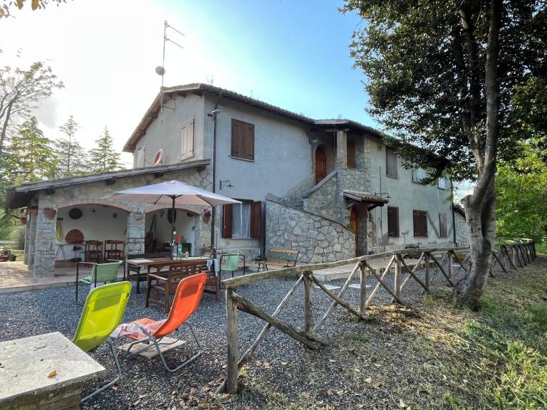 foto1