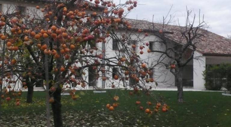 foto18
