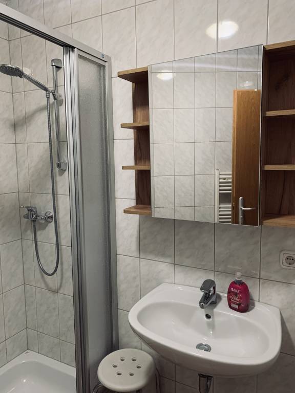 Rental apartment with sauna — photo 3