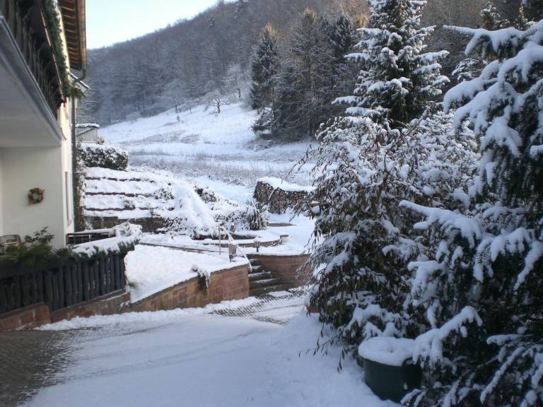foto5