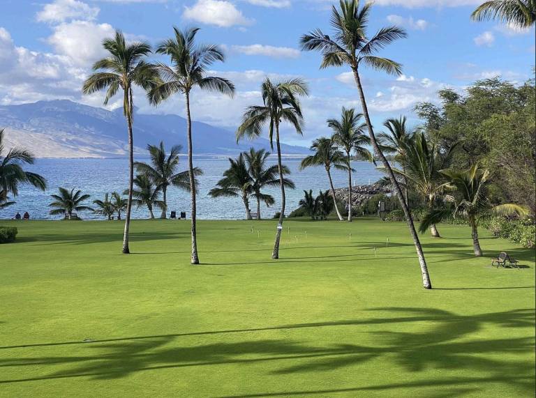 Condo Wailea