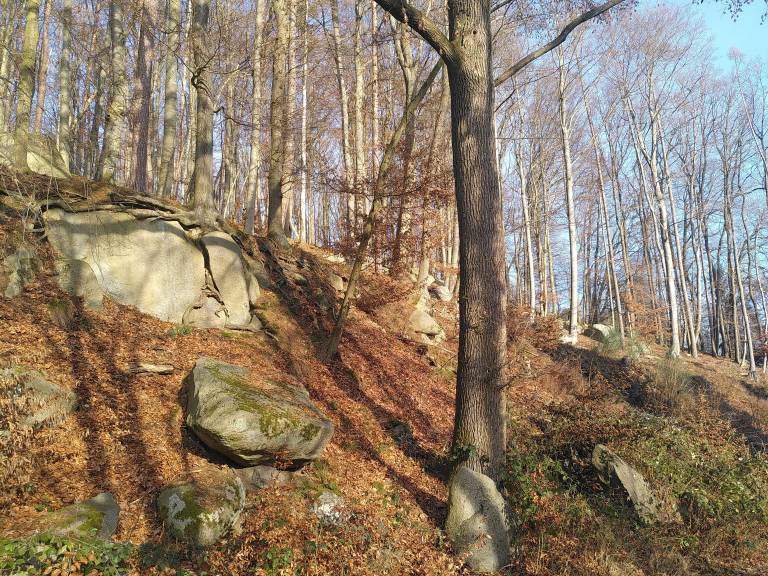 foto21