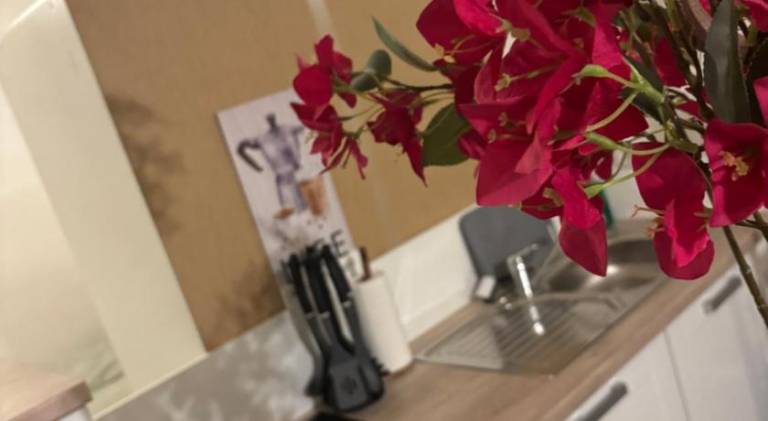 Rental apartment with 1 room for 3 persons — photo 4