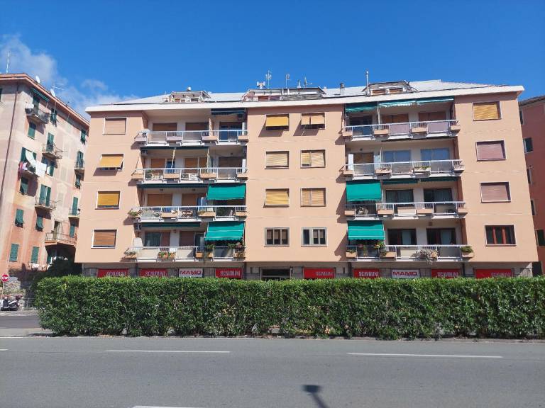 foto25
