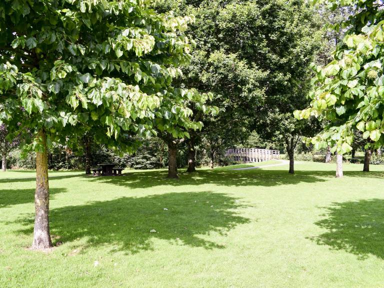 foto12