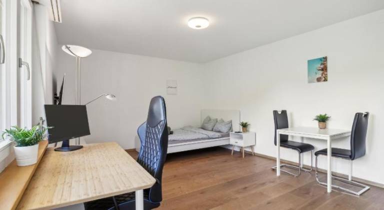 Ferienwohnung Schaffhausen