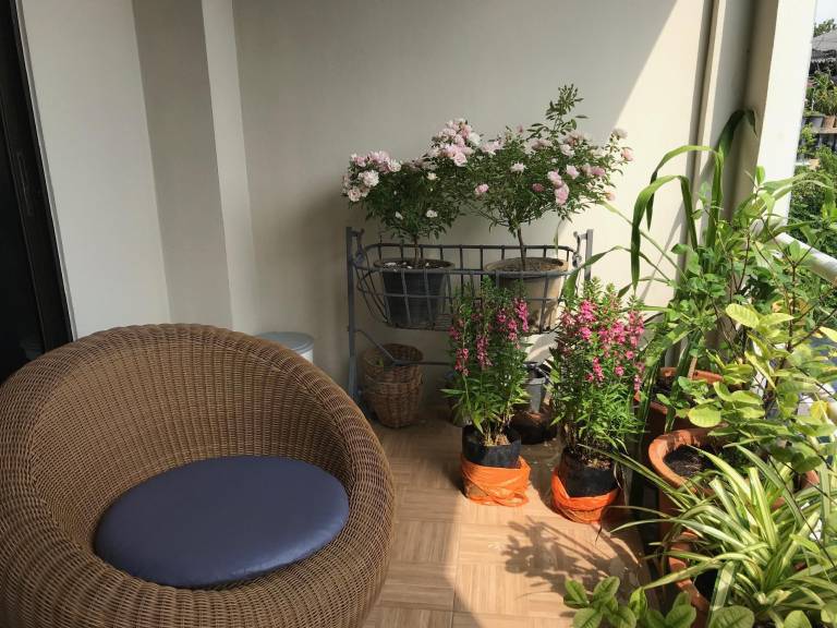 foto12