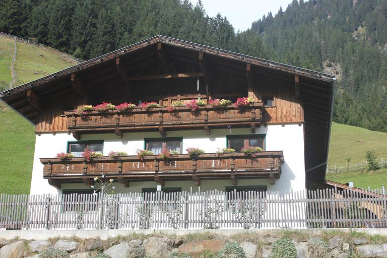 foto1
