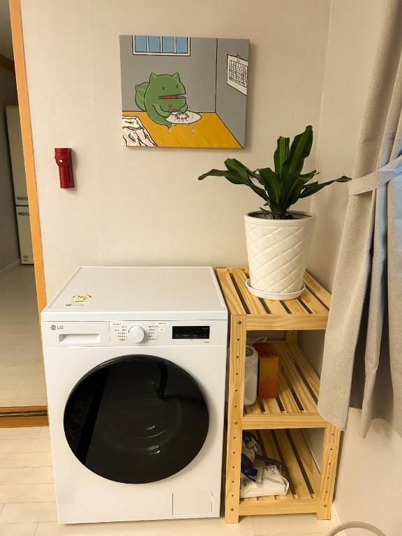 foto11