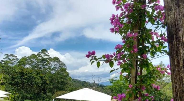 Cabana Santo Antônio do Pinhal