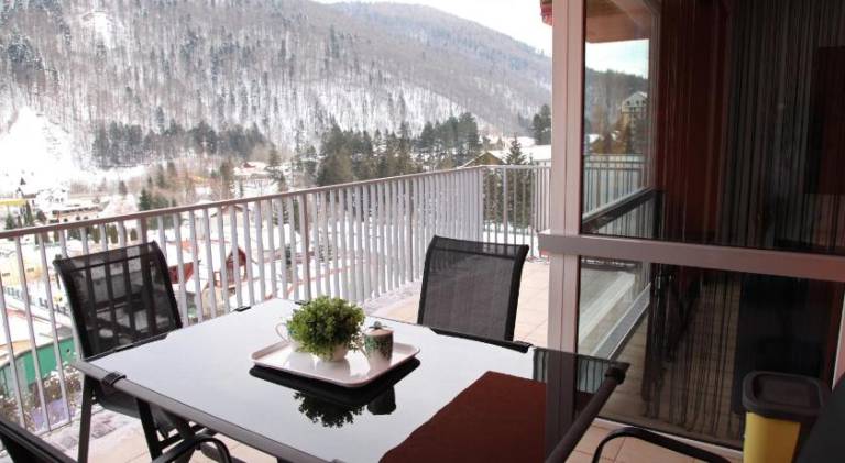 Apartament Sinaia