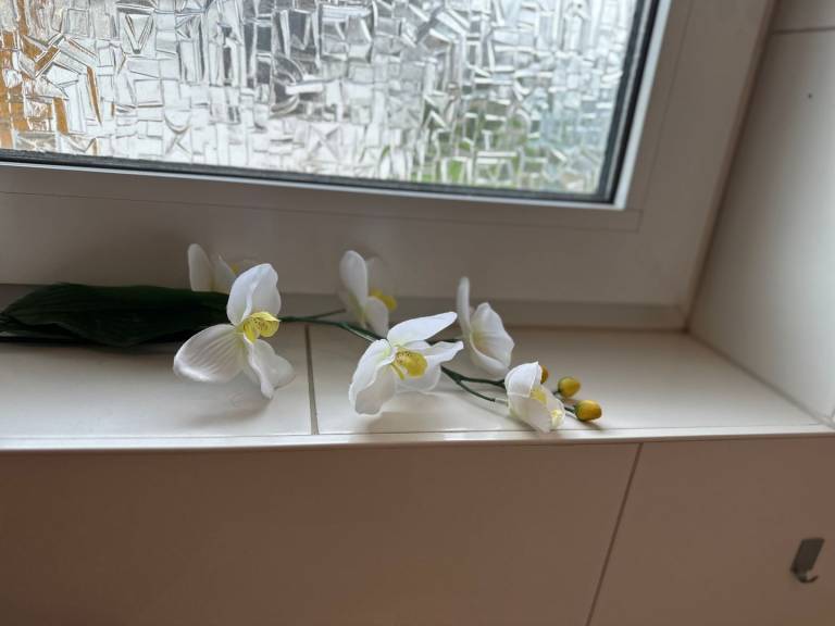 foto22