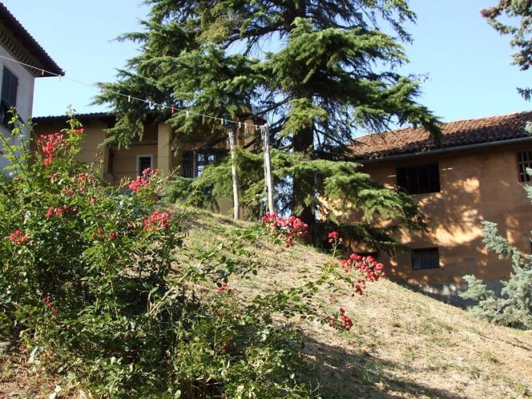 foto19