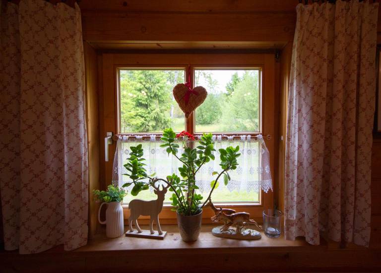 foto1